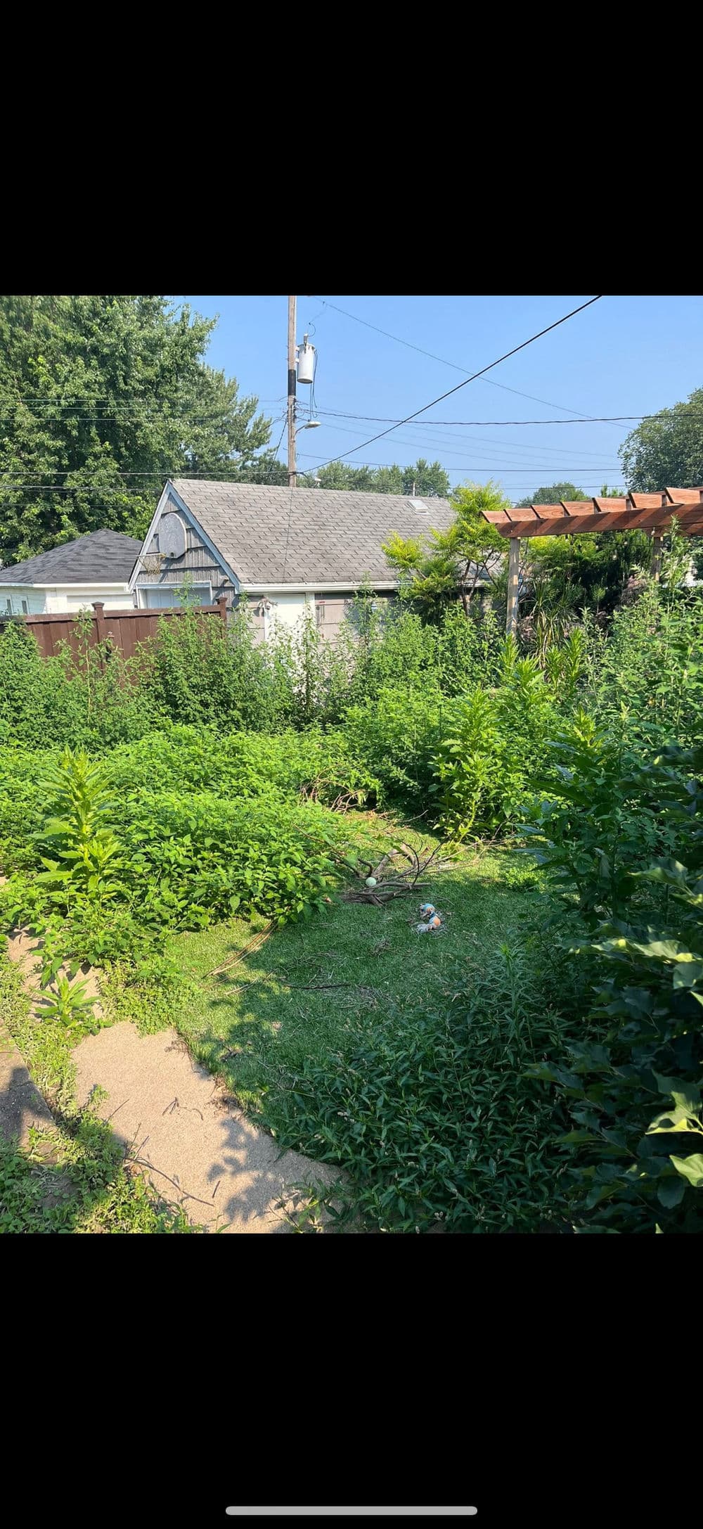 Lush green garden with various plants and a path leading to a house in the background.